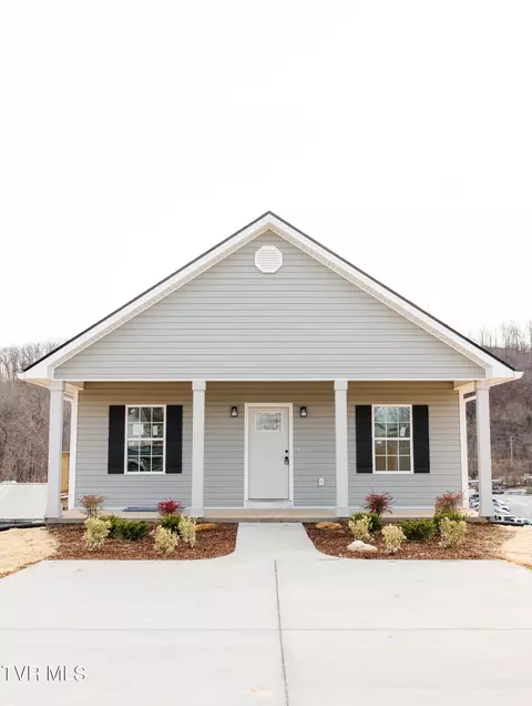 1602 E Millard Street Johnson City Tn 37601, Johnson City, TN 37601