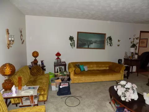 Living - 234 Meek Street Talbott Tn 37877, Talbott, TN 37877 photo 3 of 4