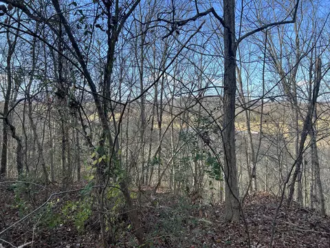 2134 Highway 93 Fall Branch Tn 37656, Fall Branch, TN 37656 photo 17