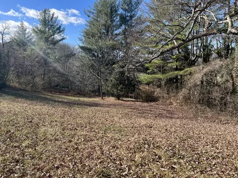 2134 Highway 93 Fall Branch Tn 37656, Fall Branch, TN 37656 photo 14