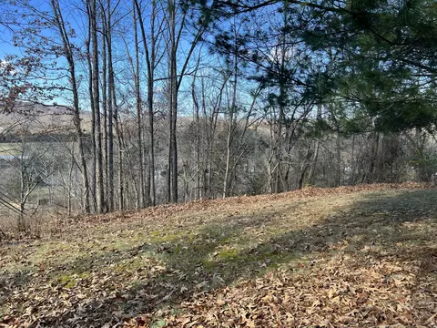 2134 Highway 93 Fall Branch Tn 37656, Fall Branch, TN 37656 photo 21