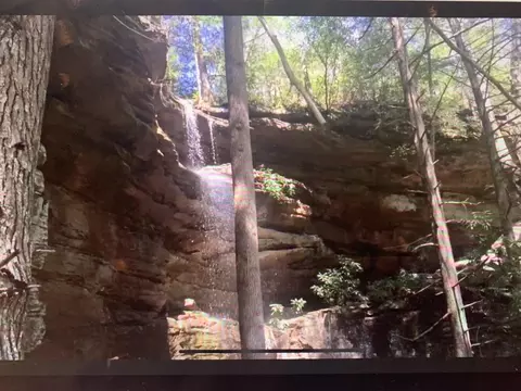 tbd Bear Hollow Trail Oneida Tn 37841, Oneida, TN 37841