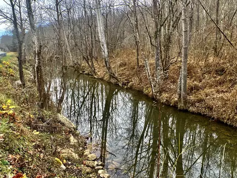 000 Beech Creek Road Rogersville Tn 37857, Rogersville, TN 37857