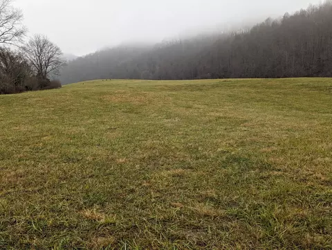 tbd Redwine Hollow Lane Duffield Va 24244, Duffield, VA 24244