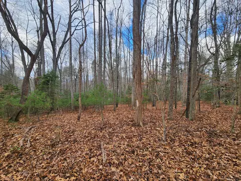 tbd Atwood Road Butler Tn 37640, Butler, TN 37640
