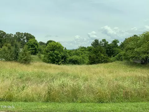 0 Austin Mill Road Rogersville Tn 37857, Rogersville, TN 37857