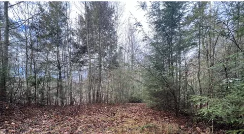 lot Apt 15 Moonlight Drive Roan Mountain Tn 37687, Roan Mountain, TN 37687