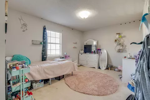 222 Springview Drive Gray Tn 37615, Gray, TN 37615 photo 24