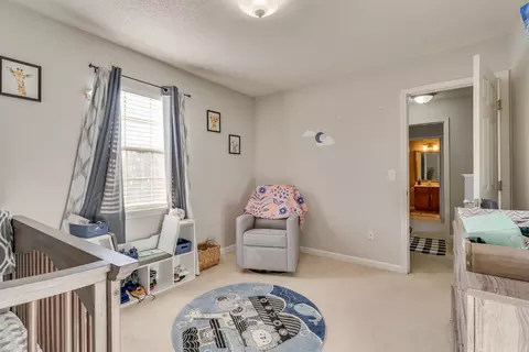 222 Springview Drive Gray Tn 37615, Gray, TN 37615 photo 23