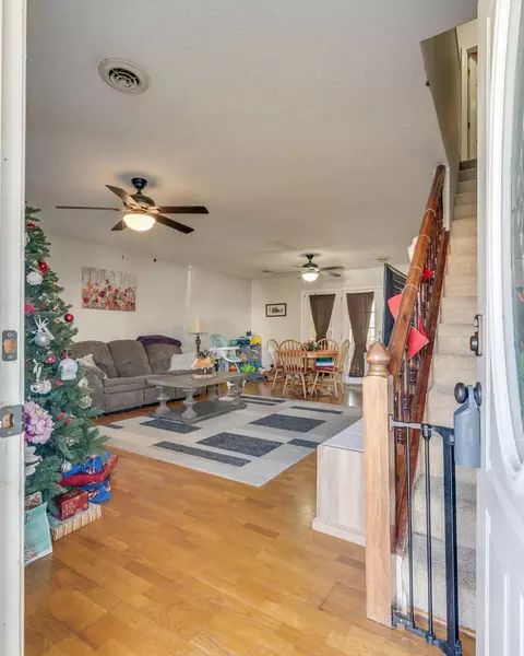 222 Springview Drive Gray Tn 37615, Gray, TN 37615 photo 5