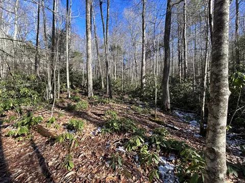 00 Viking Mtn Road Greeneville Tn 37743, Greeneville, TN 37743