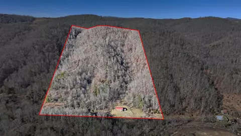 382 Wolfherd Drive Duffield Va 24244, Duffield, VA 24244 photo 6