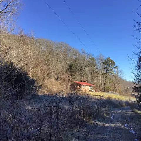 382 Wolfherd Drive Duffield Va 24244, Duffield, VA 24244 photo 42