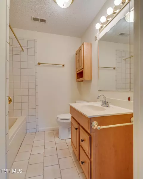 117 Pendleton Drive Bristol Tn 37620, Bristol, TN 37620 photo 59