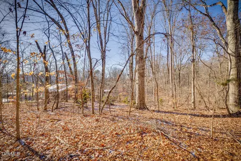lot2 Dover Ave Mount Carmel Tn 37645, Mount Carmel, TN 37645