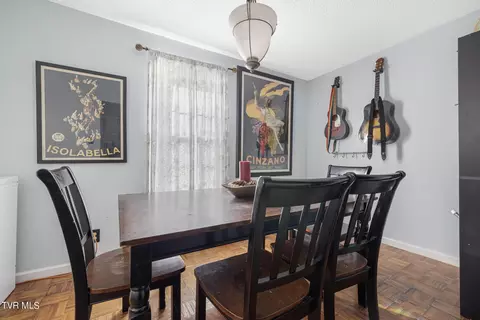721 E Maple Street Johnson City Tn 37601, Johnson City, TN 37601 photo 12