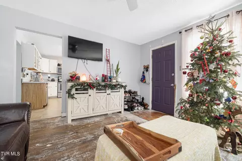 721 E Maple Street Johnson City Tn 37601, Johnson City, TN 37601 photo 8