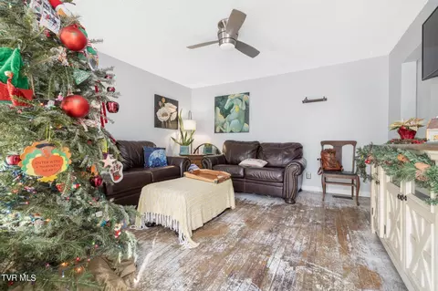 721 E Maple Street Johnson City Tn 37601, Johnson City, TN 37601 photo 6