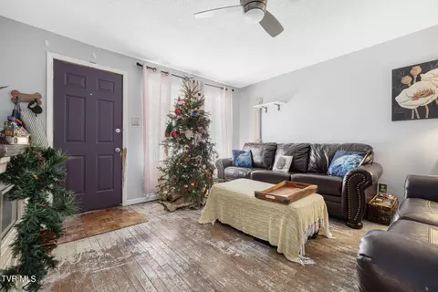 721 E Maple Street Johnson City Tn 37601, Johnson City, TN 37601 photo 7