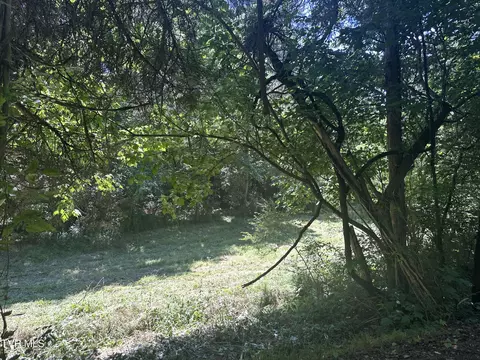 tbd Devils Nose Road Rogersville Tn 37857, Rogersville, TN 37857