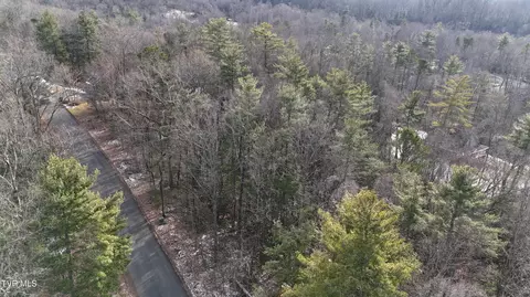 7 Mountain Laurel Court, Unicoi, TN 37692