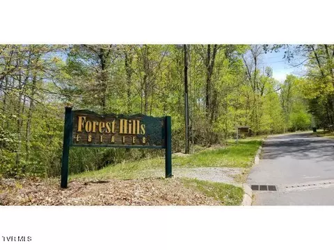25 Mountain Laurel Court, Unicoi, TN 37692