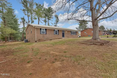 131 Circleview Drive Gray Tn 37615, Gray, TN 37615 photo 2