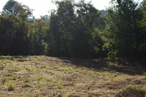 309 313 Katie Court Jonesborough Tn 37659, Jonesborough, TN 37659