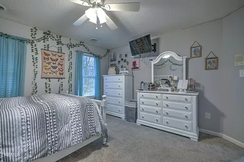 445 Spring Lake Road Bristol Va 24201, Bristol, VA 24201 photo 35