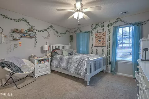 445 Spring Lake Road Bristol Va 24201, Bristol, VA 24201 photo 33