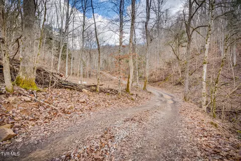 5152 Clinch Mountain Road Eidson Tn 37731, Eidson, TN 37731 photo 3