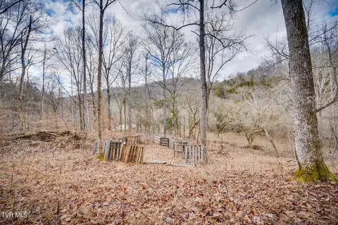 5152 Clinch Mountain Road Eidson Tn 37731, Eidson, TN 37731 photo 5