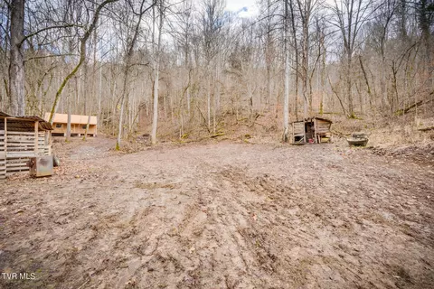 5152 Clinch Mountain Road Eidson Tn 37731, Eidson, TN 37731 photo 15