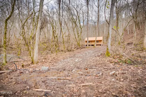 5152 Clinch Mountain Road Eidson Tn 37731, Eidson, TN 37731 photo 13