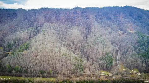 5152 Clinch Mountain Road Eidson Tn 37731, Eidson, TN 37731 photo 25