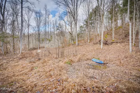 5152 Clinch Mountain Road Eidson Tn 37731, Eidson, TN 37731 photo 4