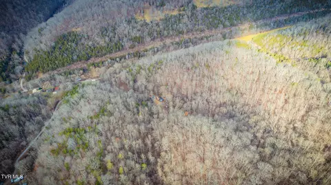 5152 Clinch Mountain Road Eidson Tn 37731, Eidson, TN 37731 photo 28