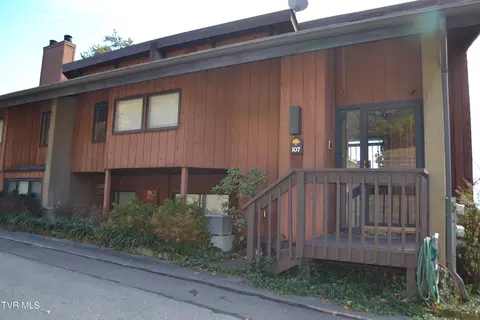 107 Tree Top Lane Johnson City Tn 37601, Johnson City, TN 37601