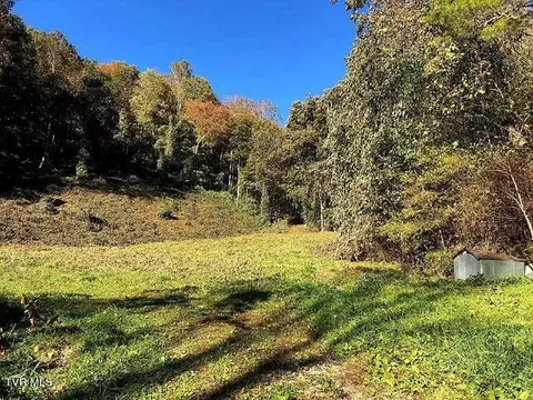 171 Dolan Hollow Road Roan Mountain Tn 37687, Roan Mountain, TN 37687