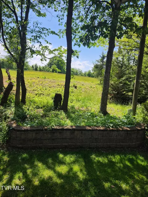 817 NE Wayne Avenue 817 Abingdon Va 24210, Abingdon, VA 24210 photo 31