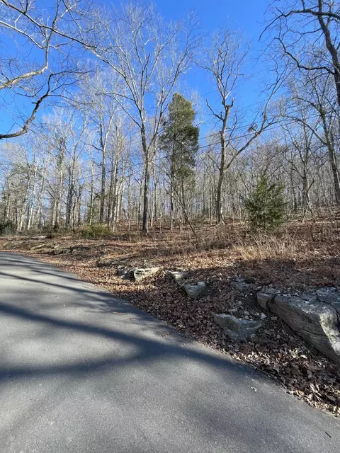 0 Blue Heron Lane Piney Flats Tn 37686, Piney Flats, TN 37686