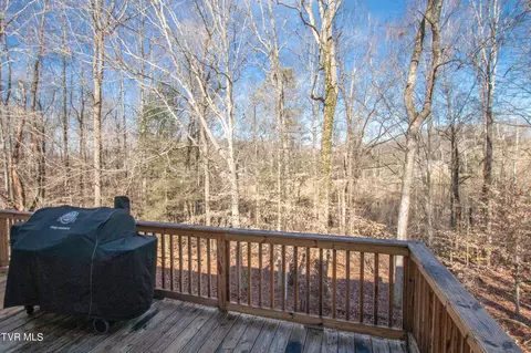 415 Robin Road Bristol Tn 37620, Bristol, TN 37620 photo 51