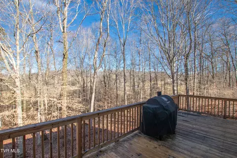 415 Robin Road Bristol Tn 37620, Bristol, TN 37620 photo 52