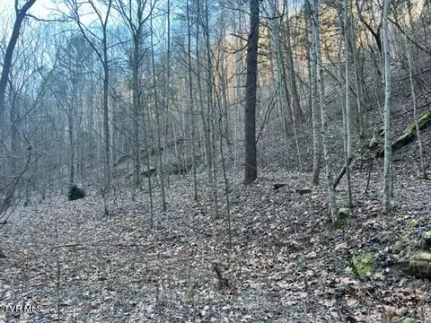 lot28 Norris Road Butler Tn 37640, Butler, TN 37640