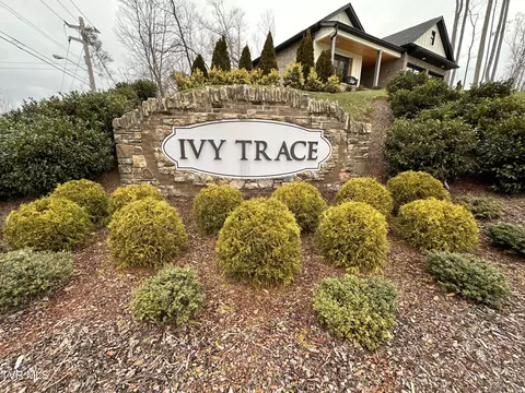 42 English Ivy Trail Trail 42 Jonesborough Tn 37659, Jonesborough, TN 37659
