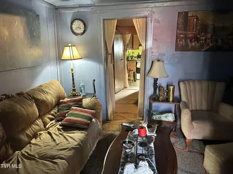 1708 E Millard Street Johnson City Tn 37601, Johnson City, TN 37601 photo 4