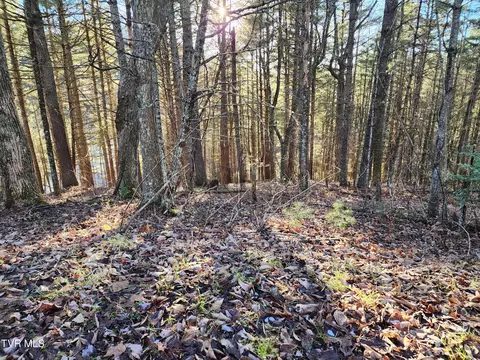 lot12 Tbd Laurelwood Lane Mountain City Tn 37683, Mountain City, TN 37683