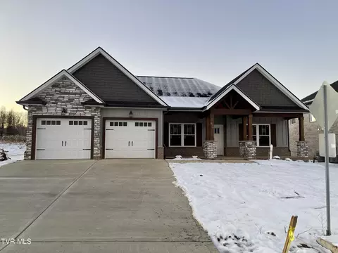816 Dolen Place Kingsport Tn 37663, Kingsport, TN 37663