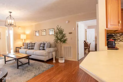 Living - 20941 Deer Run Drive Drive Abingdon Va 24211, Abingdon, VA 24211 photo 1 of 5
