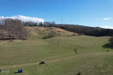 115 Tyne Gray Road Afton Tn 37616, Afton, TN 37616